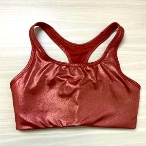 Dri-Fit Metallic Nike Sports Bra